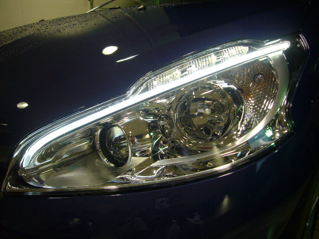 Registration for NEW 208