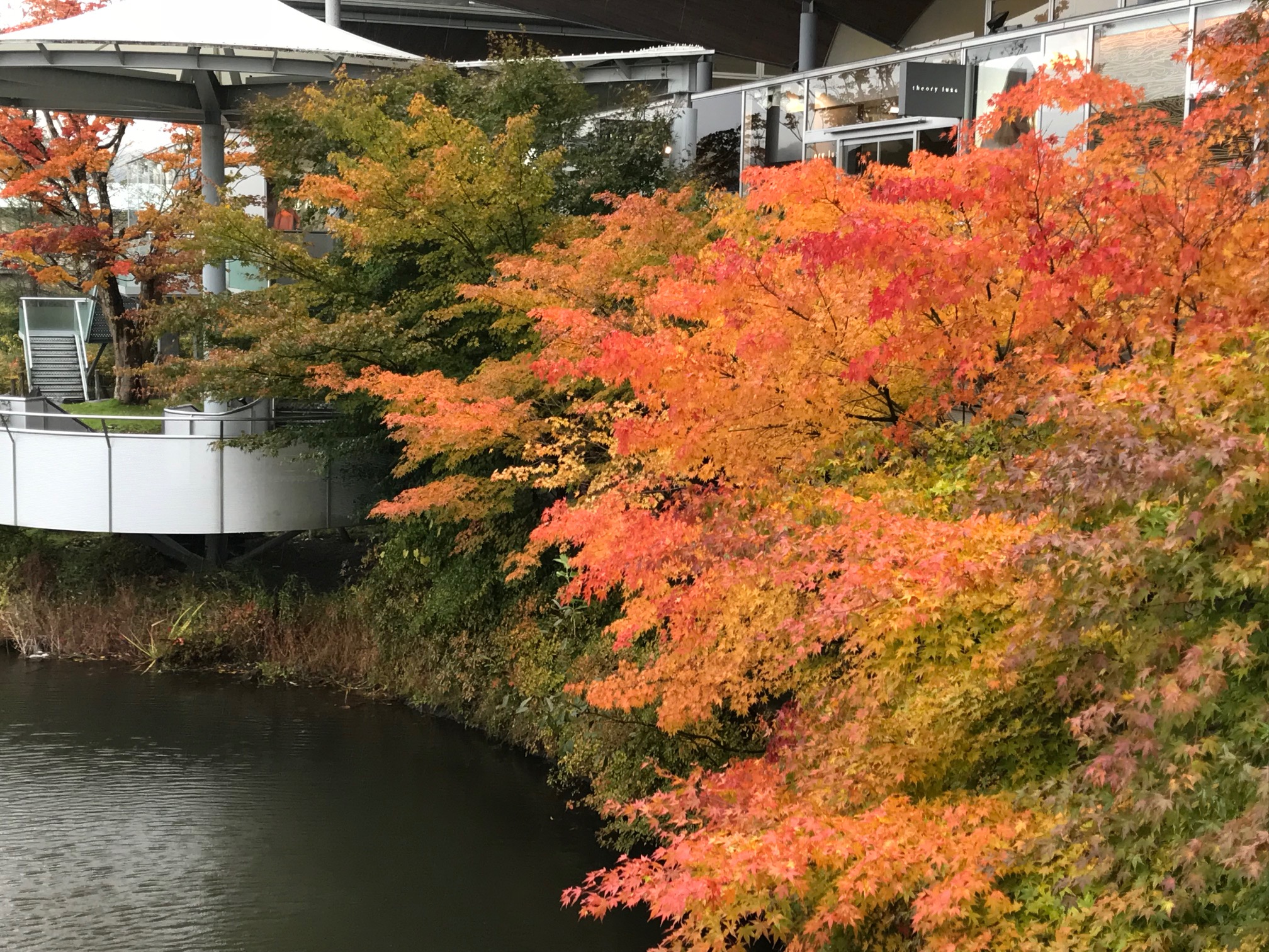 紅葉ラウンド～軽井沢