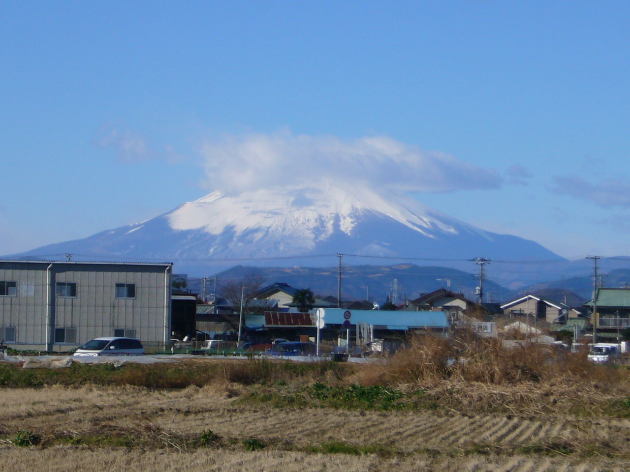 良いお年を・・・