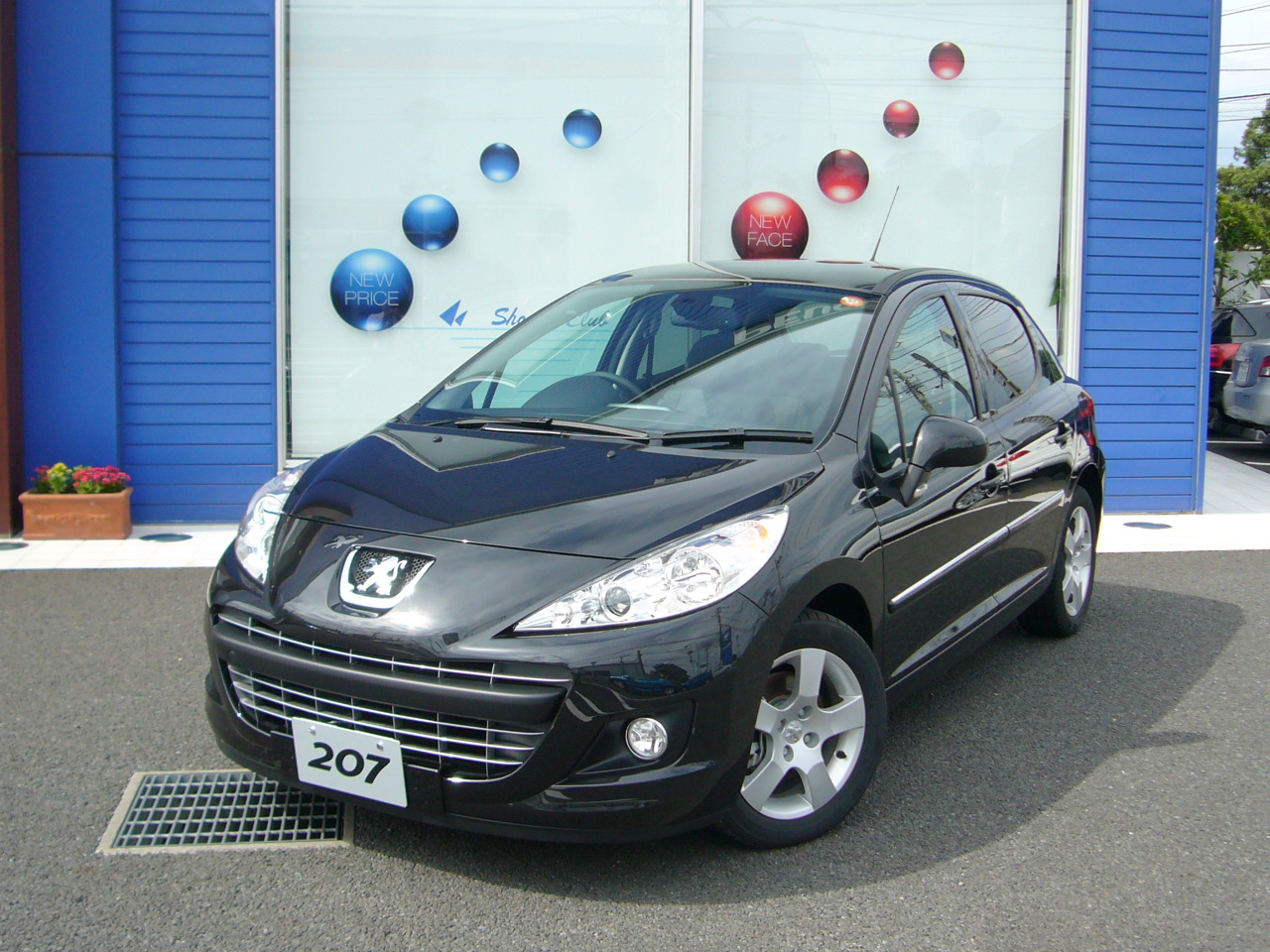 ＮＥＷ　２０７