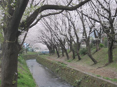 間に合うかしら