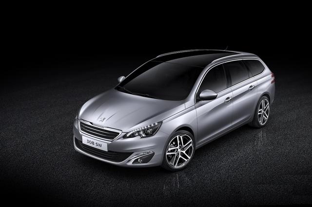 NEW 308 SW