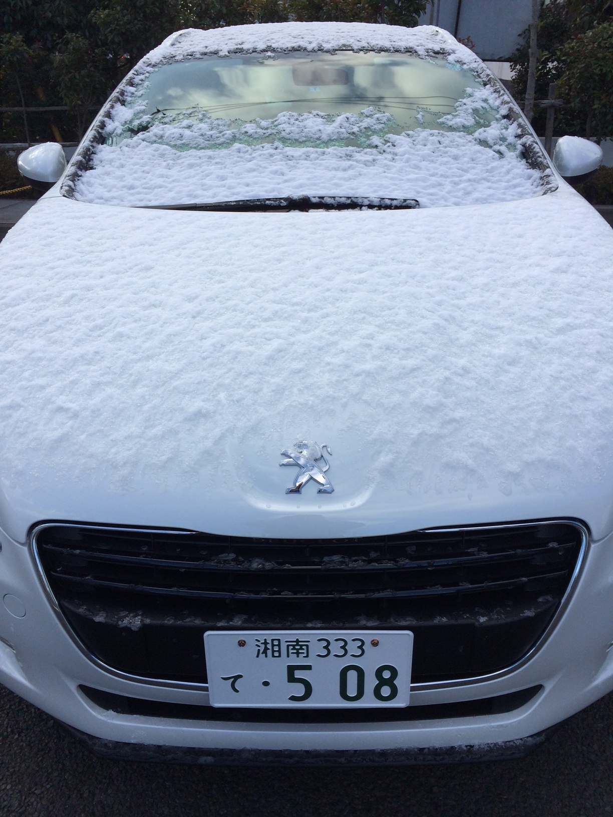 立春でしたが・・・