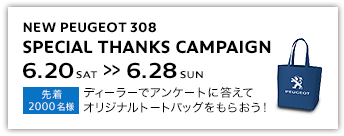 Special thanks campaign.