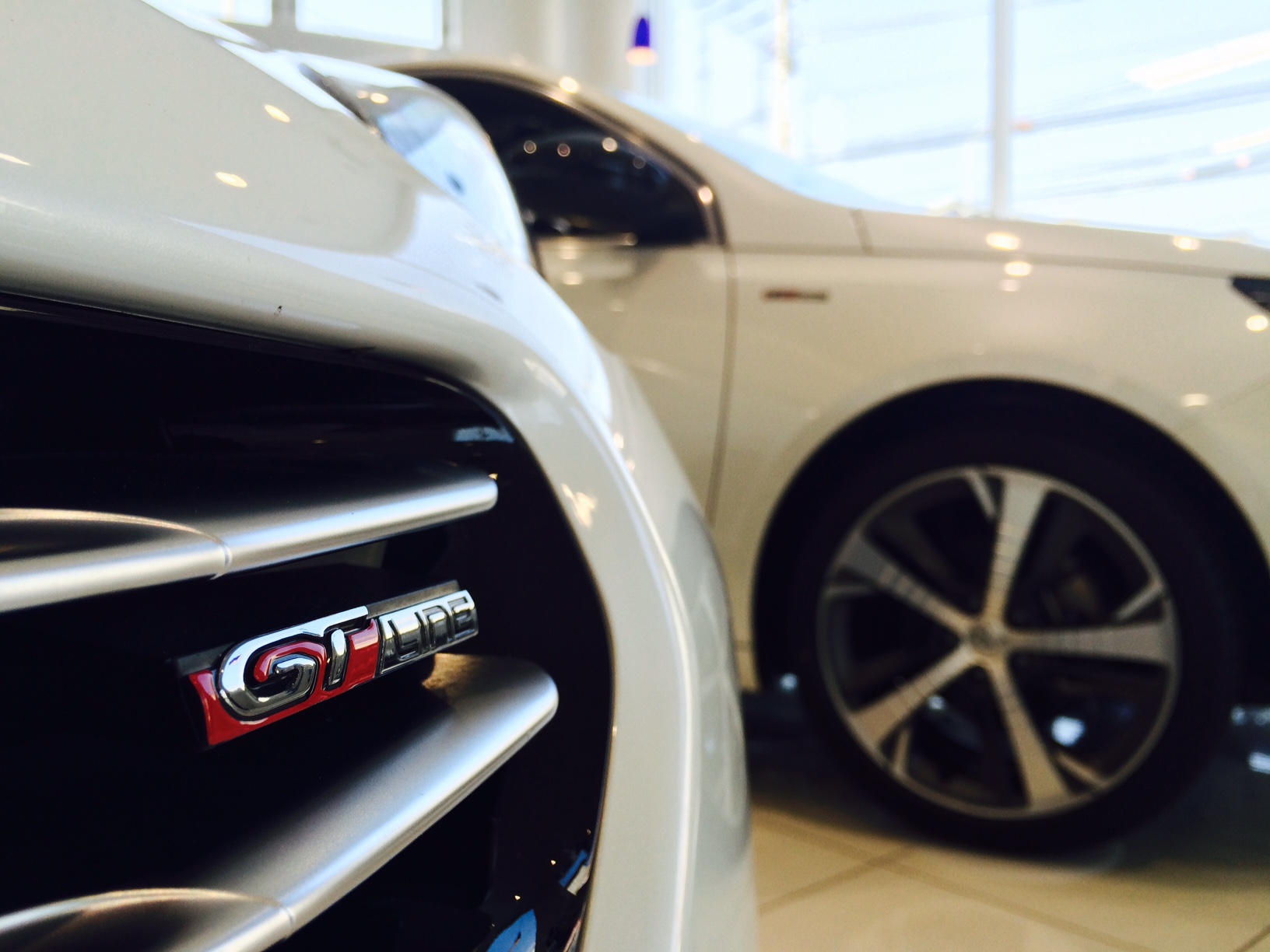 シルバーウィーク三日目