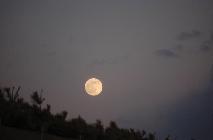 今週末の日曜日は中秋の名月ですが・・・