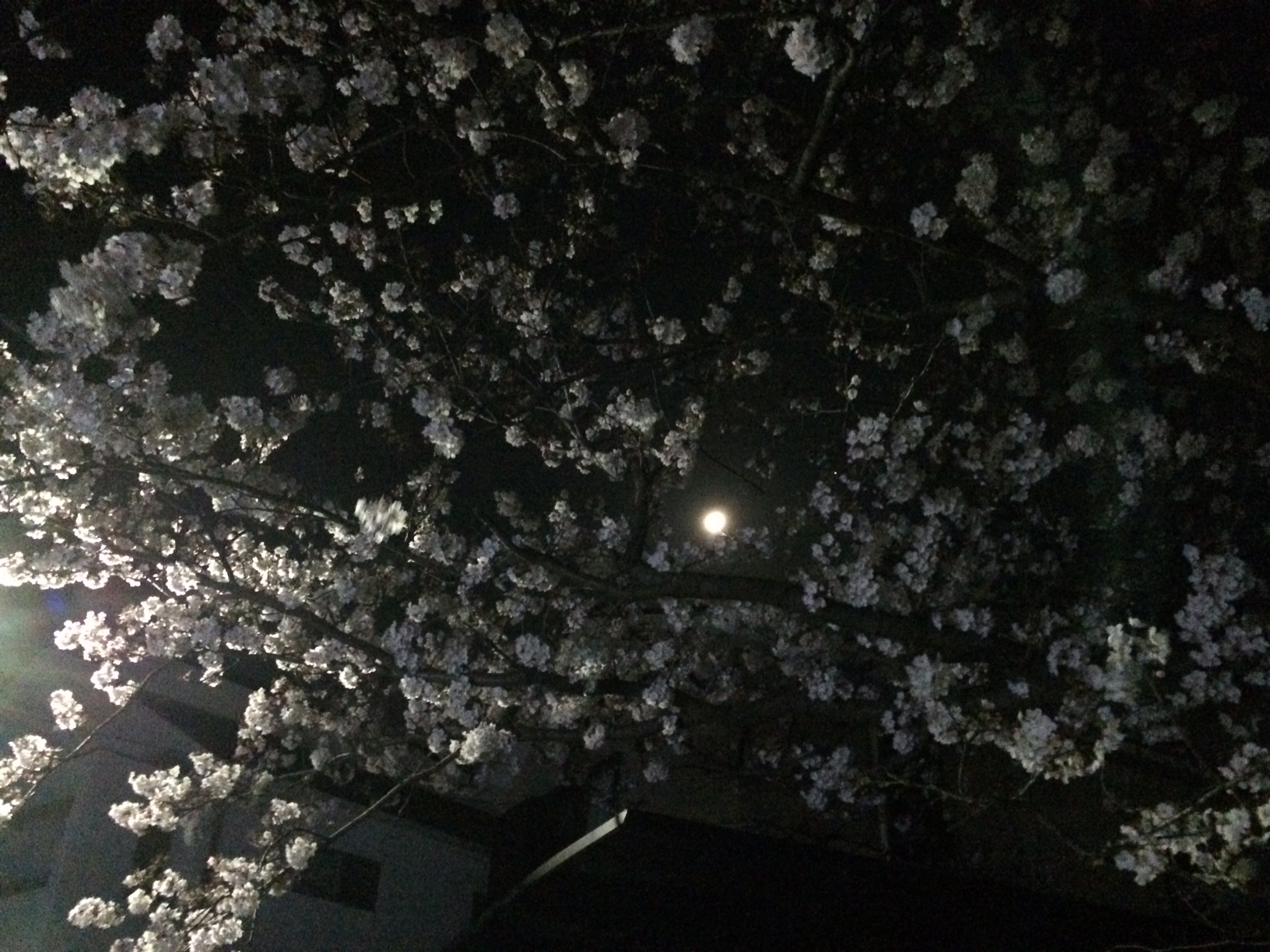 スーパームーン