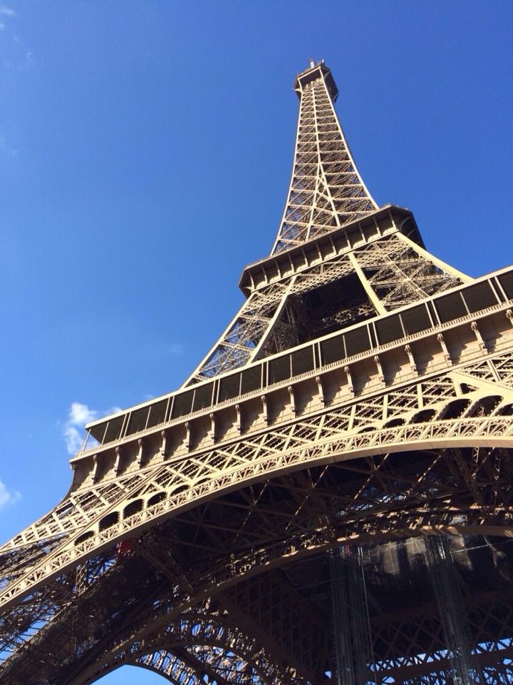 来週末はフランスデーを開催します！