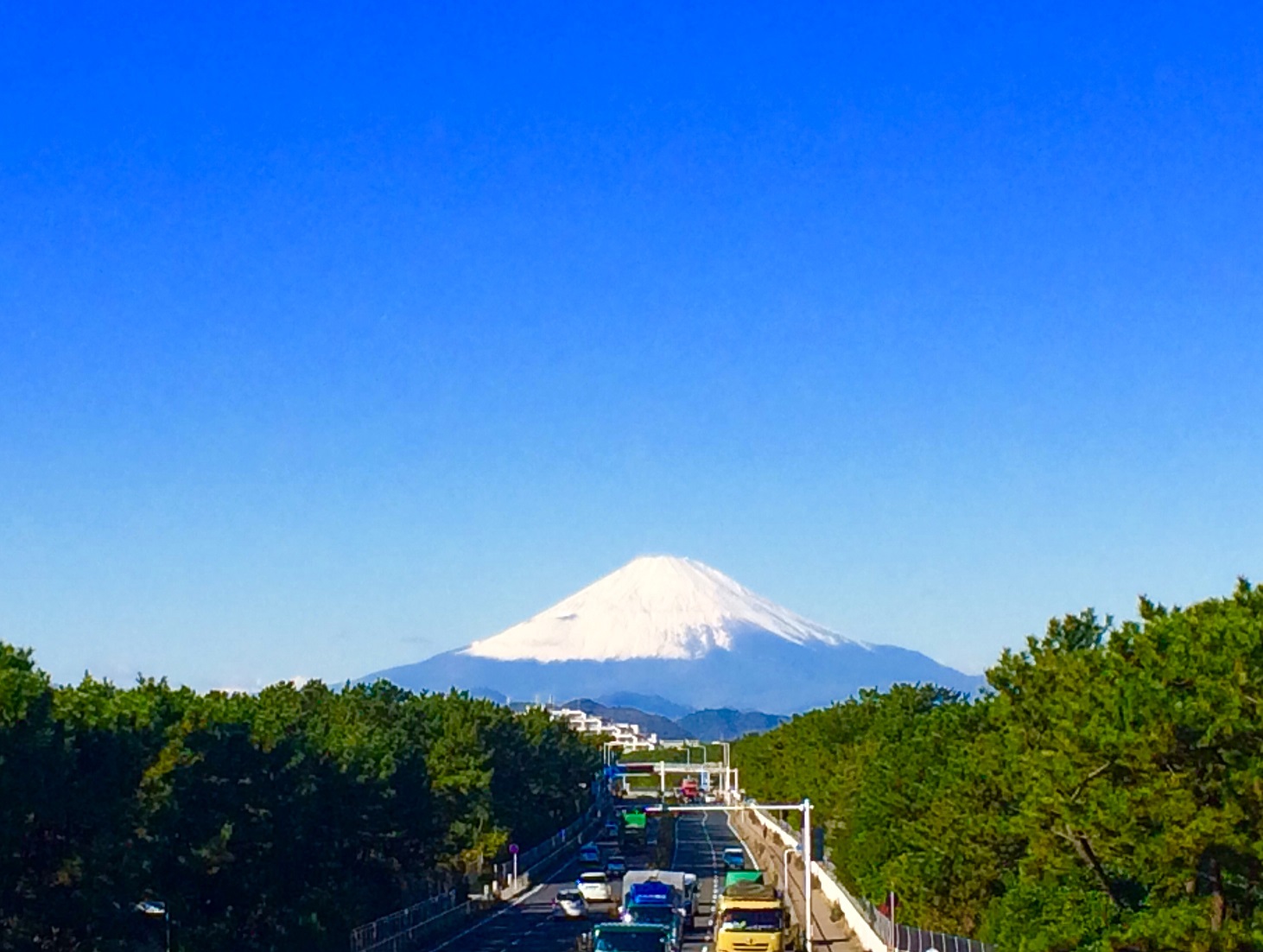 お見事でした！