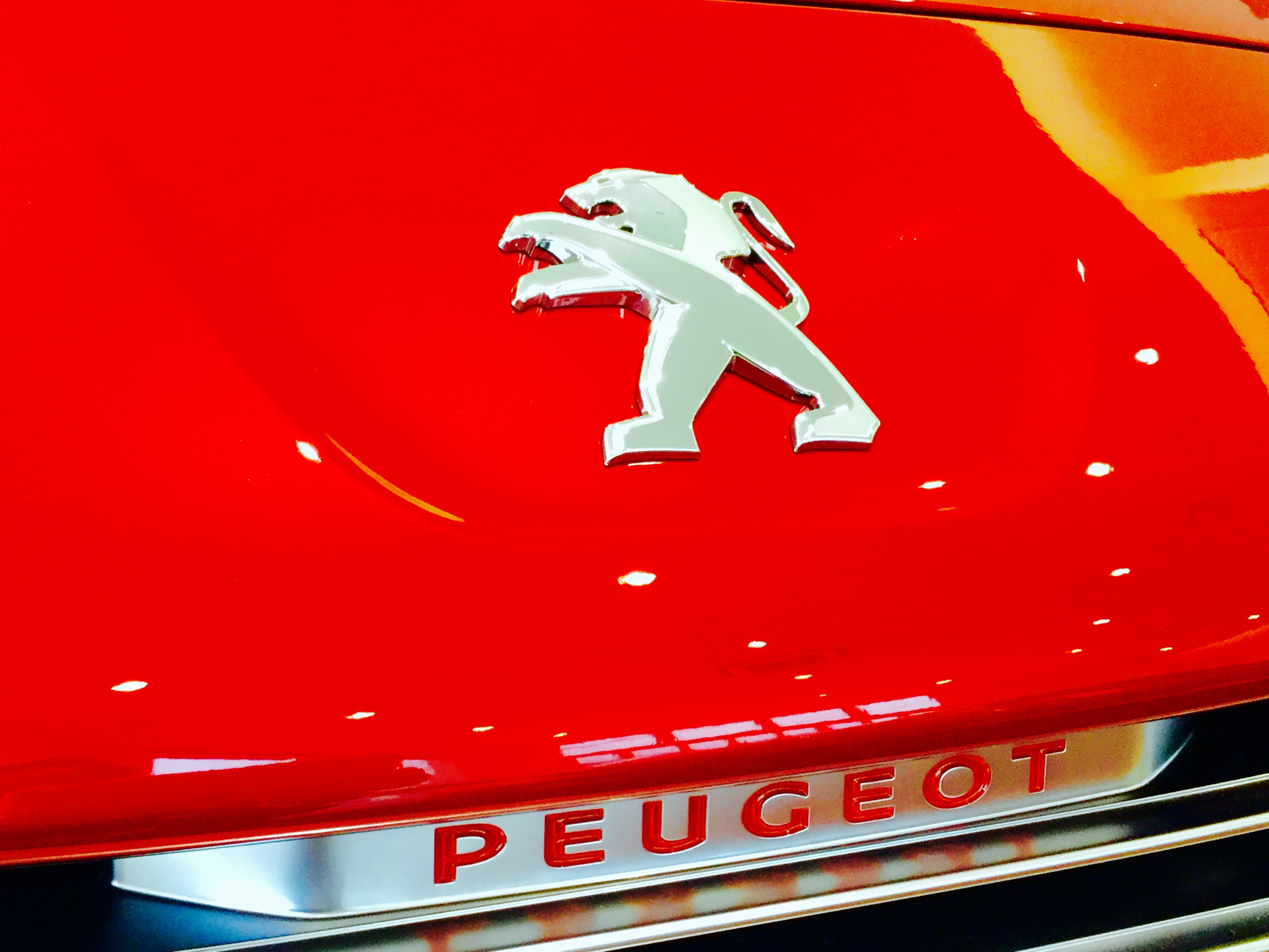 コーティングキャンペーン締め切り迫る！