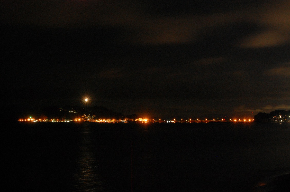 プジョー湘南藤沢 夜光虫を探しに行ったケド