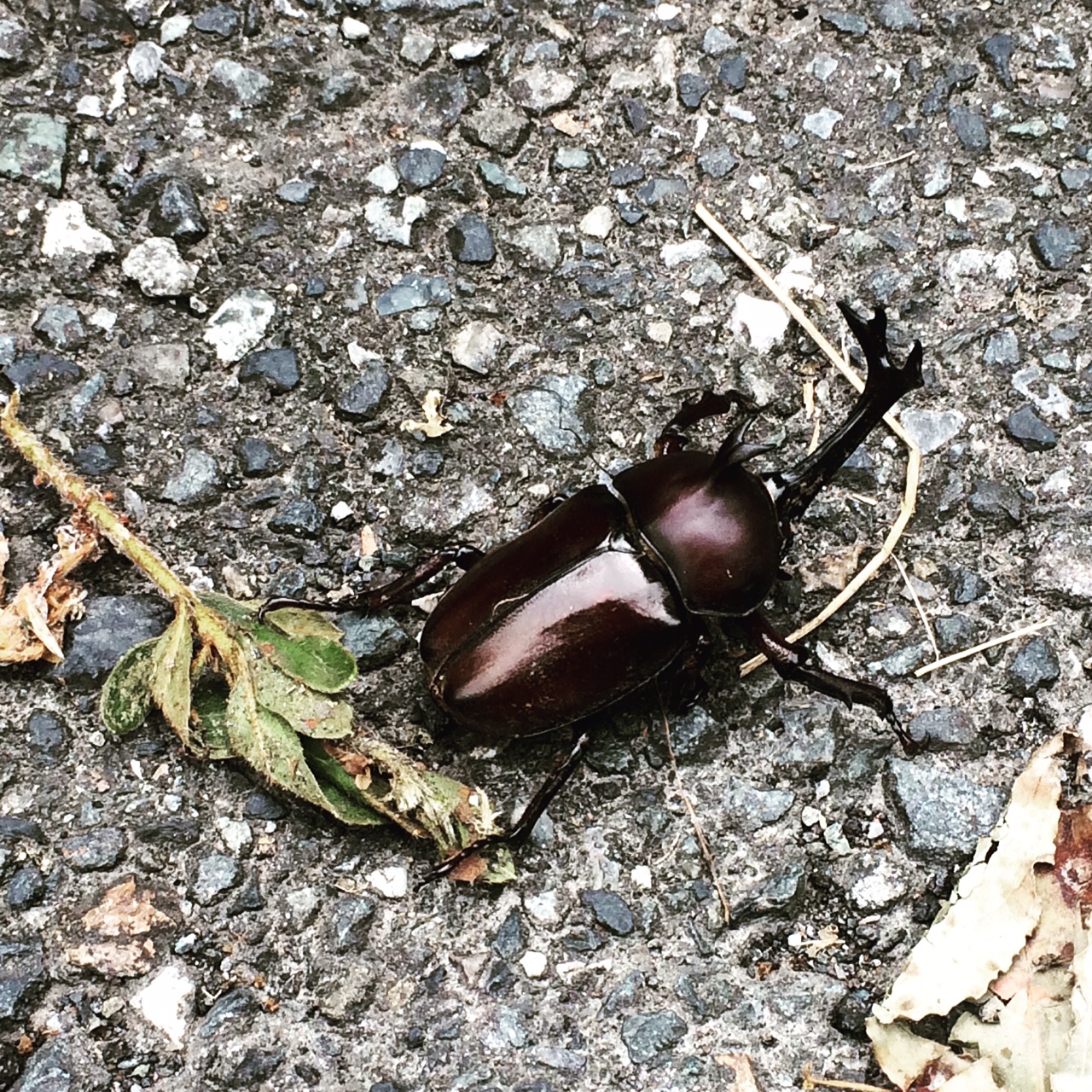 皆さん、どんな夏休みでしたか？