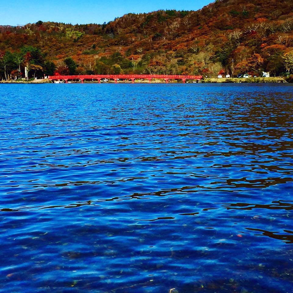 紅葉を見にいコーヨー、笑