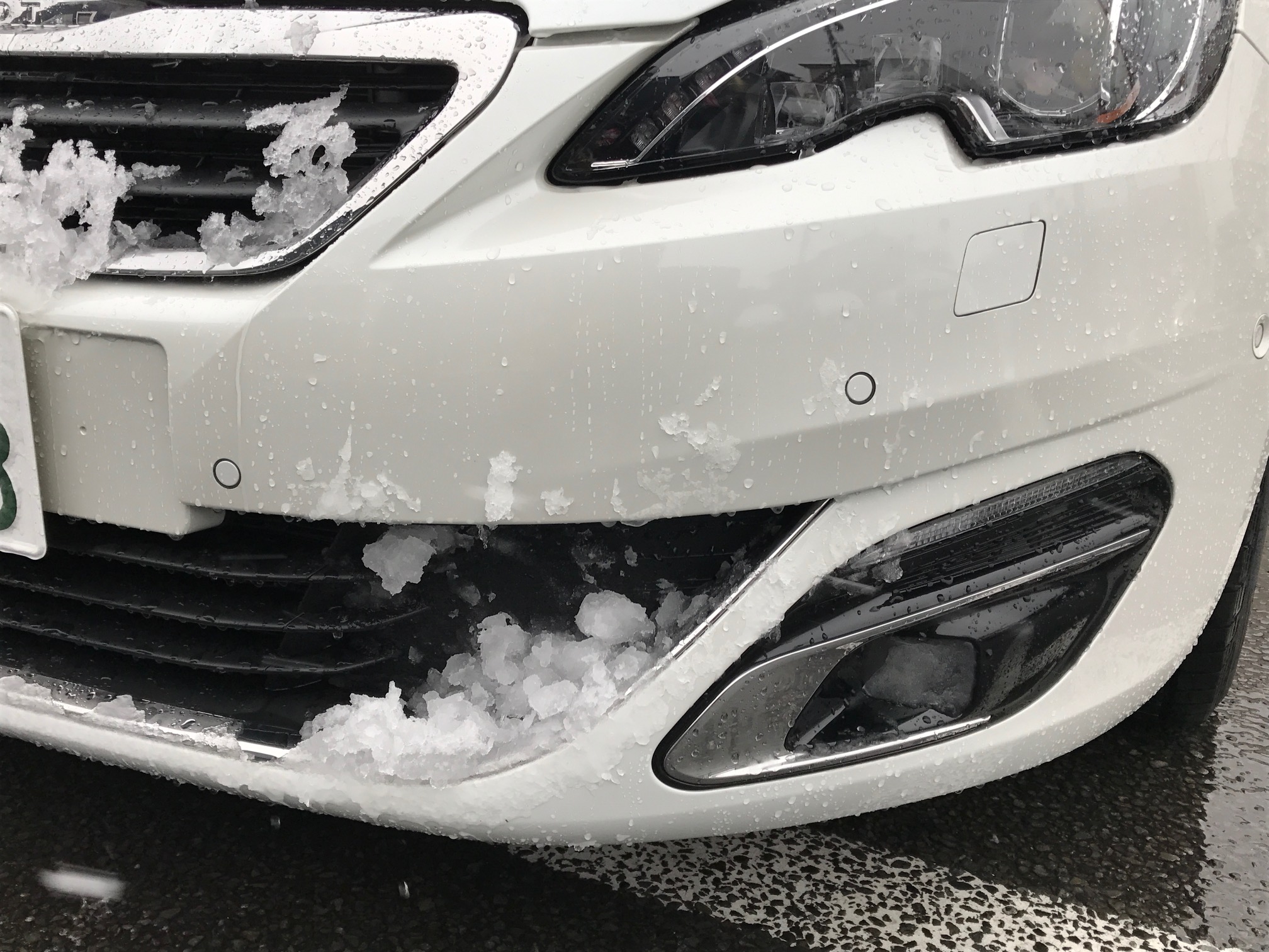 ５４年ぶりだそうで・・・