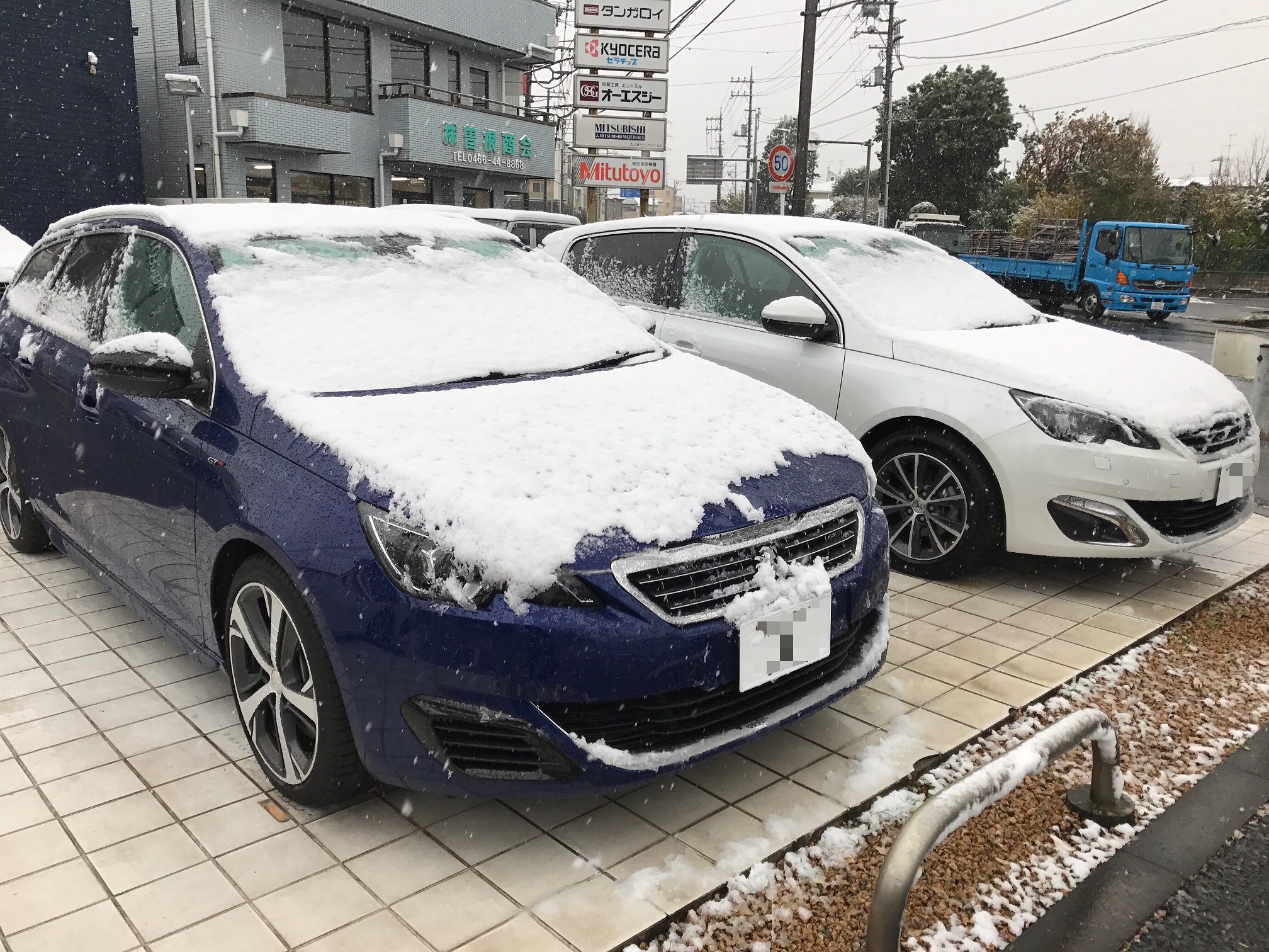 ５４年ぶりだそうで・・・