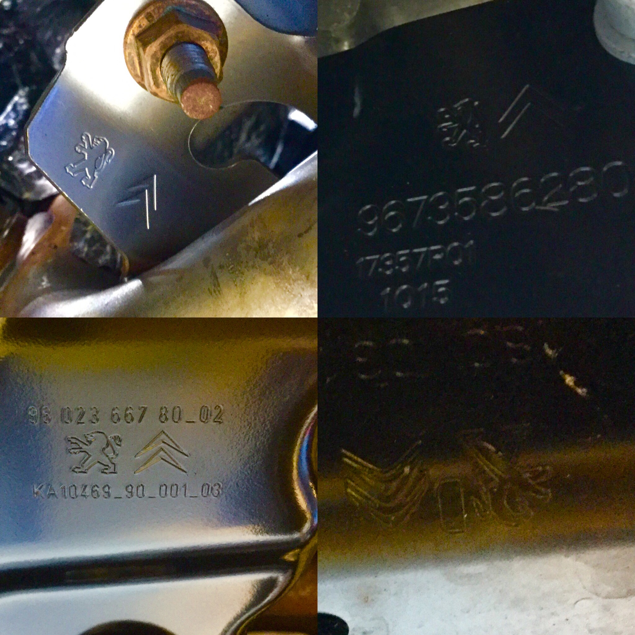 隠れミッキーならぬ隠れライオン