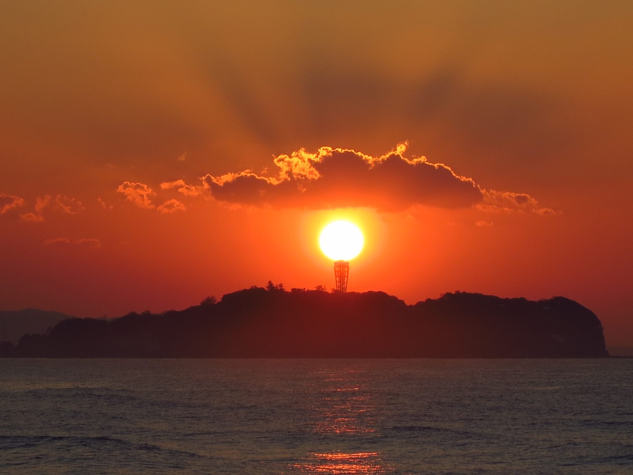 師走になりました！