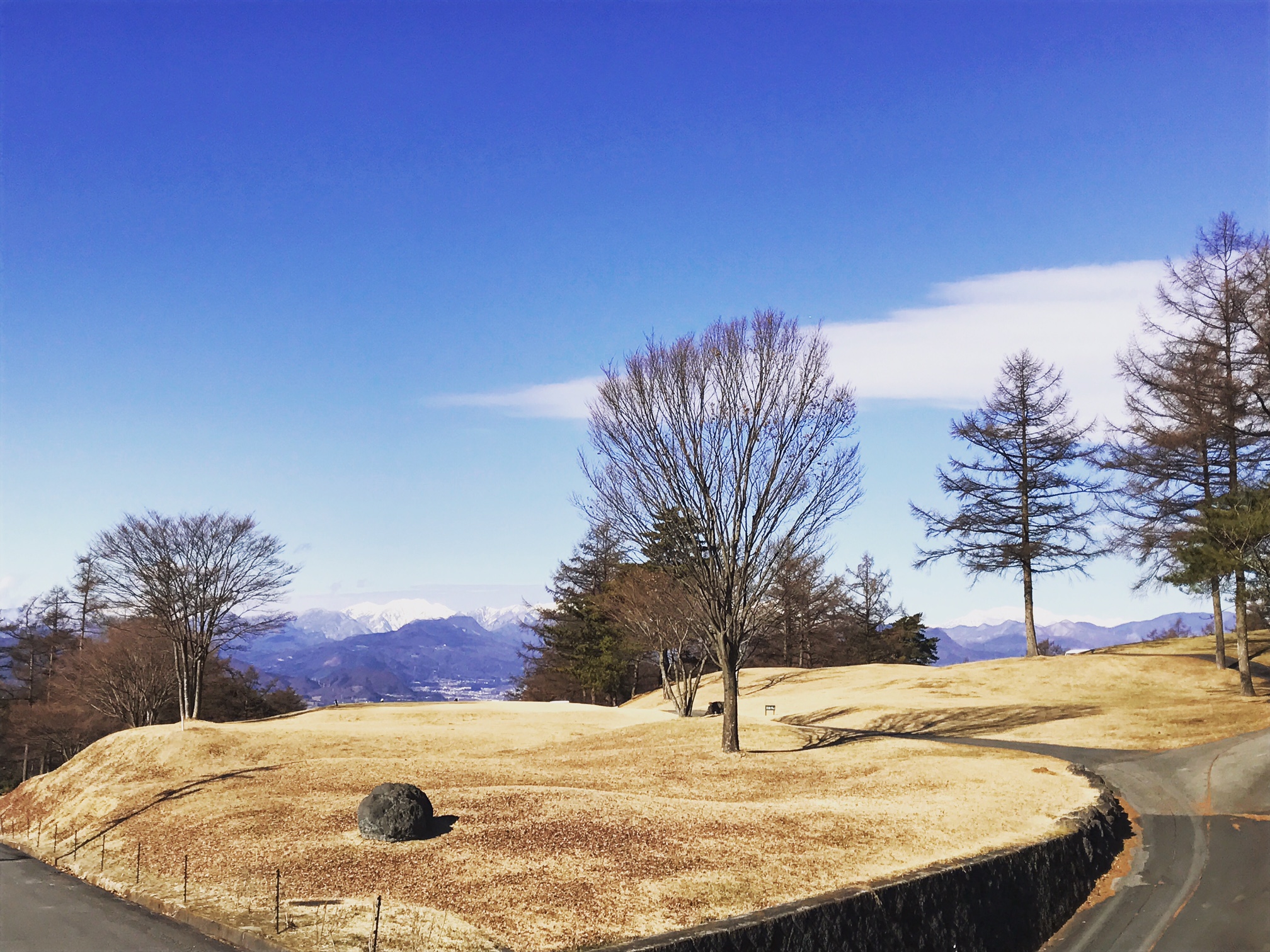 体調不良の為・・・