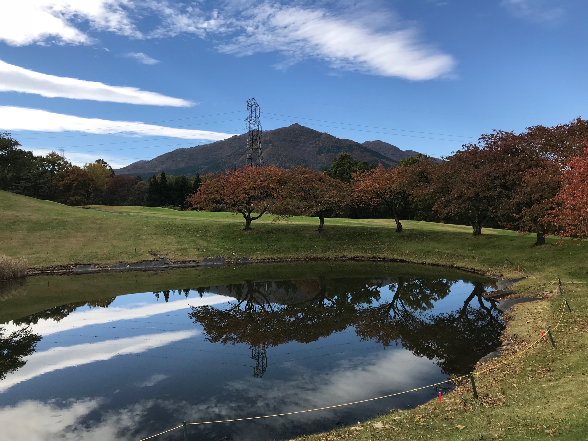 紅葉見頃です。