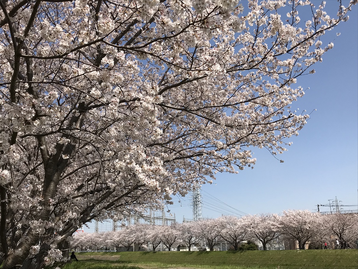 今月もあと2日