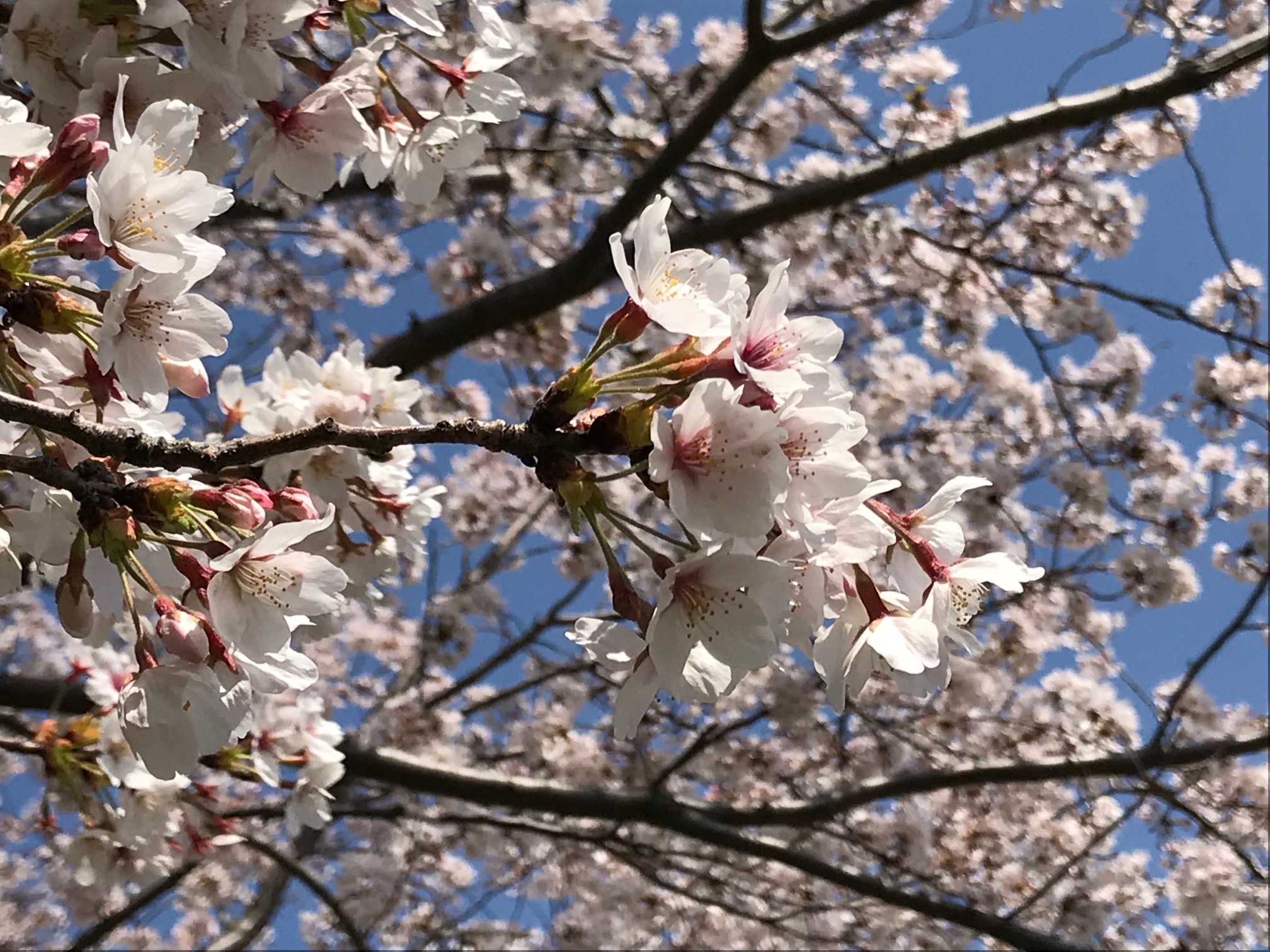 今月もありがとうございました！