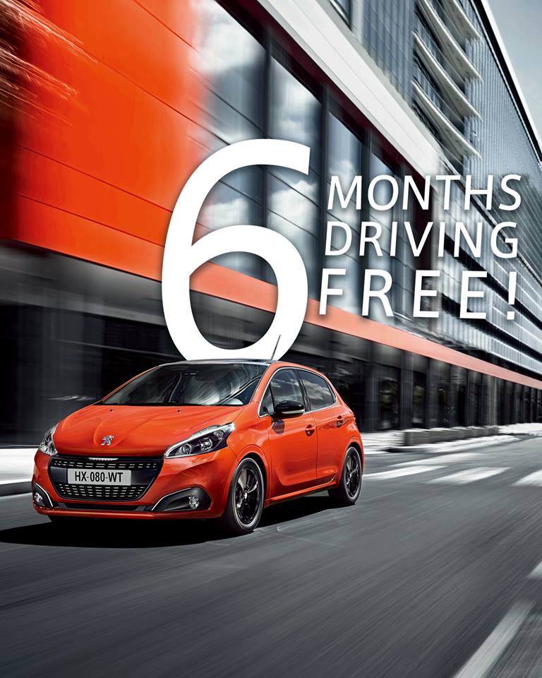 6 MONTHS DRIVING FREE！！