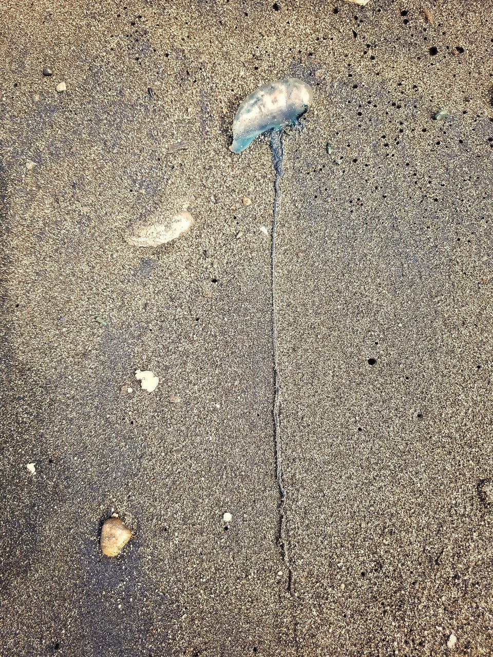 波打ち際の恐怖