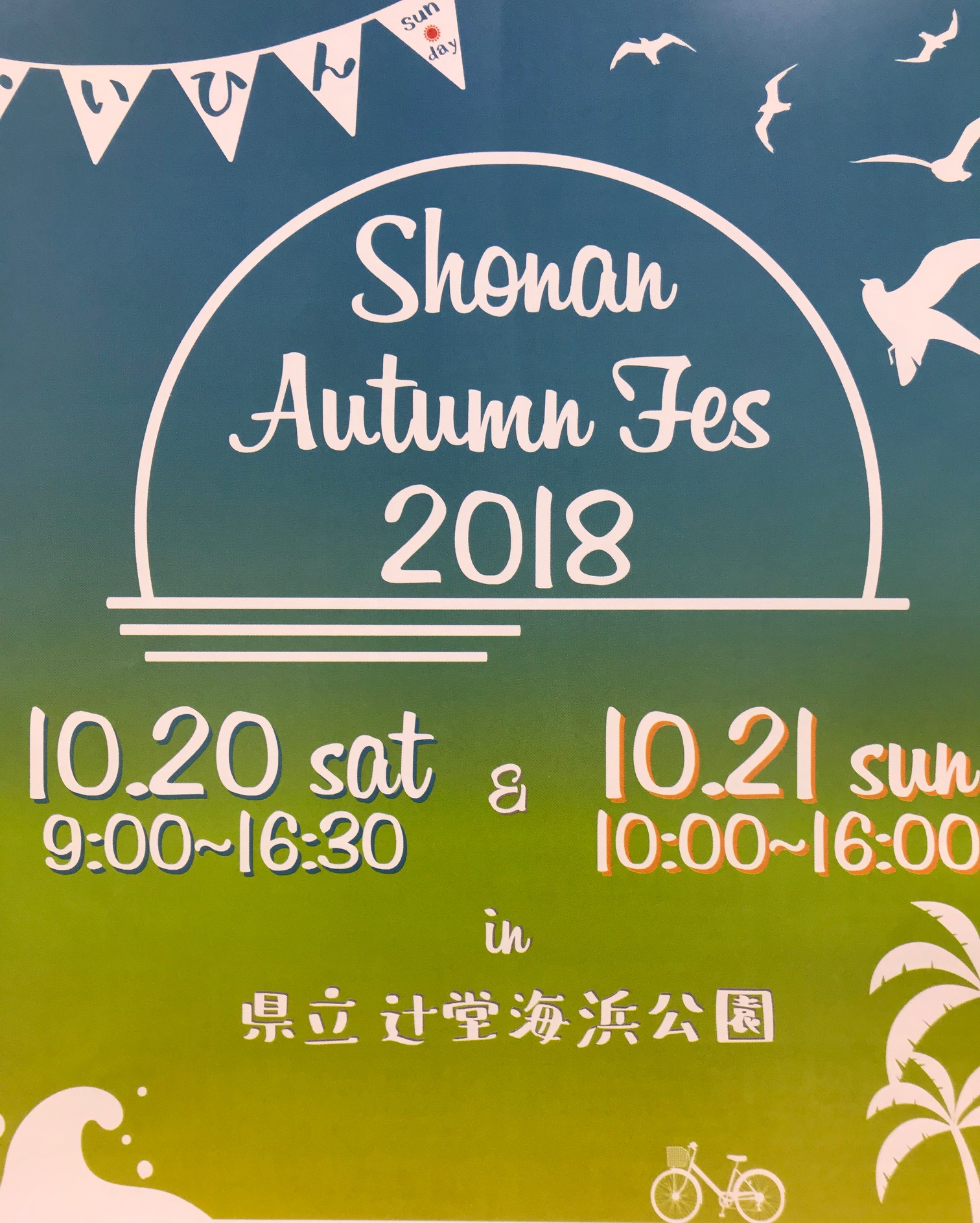 週末は海浜公園でお待ちしております。