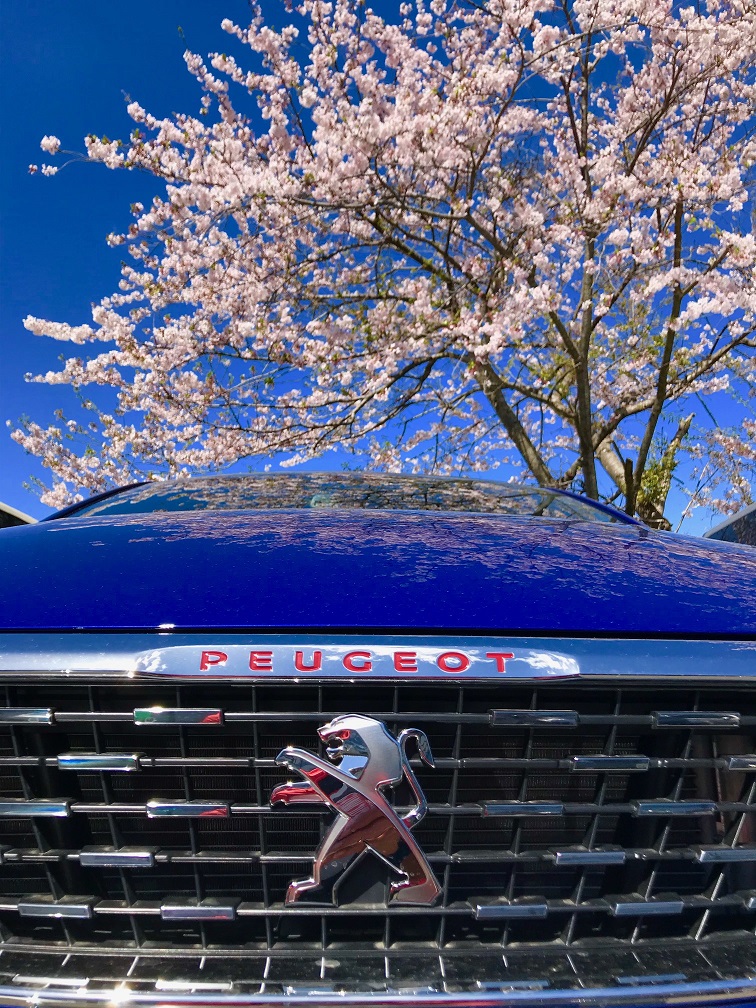 プジョーと四半世紀