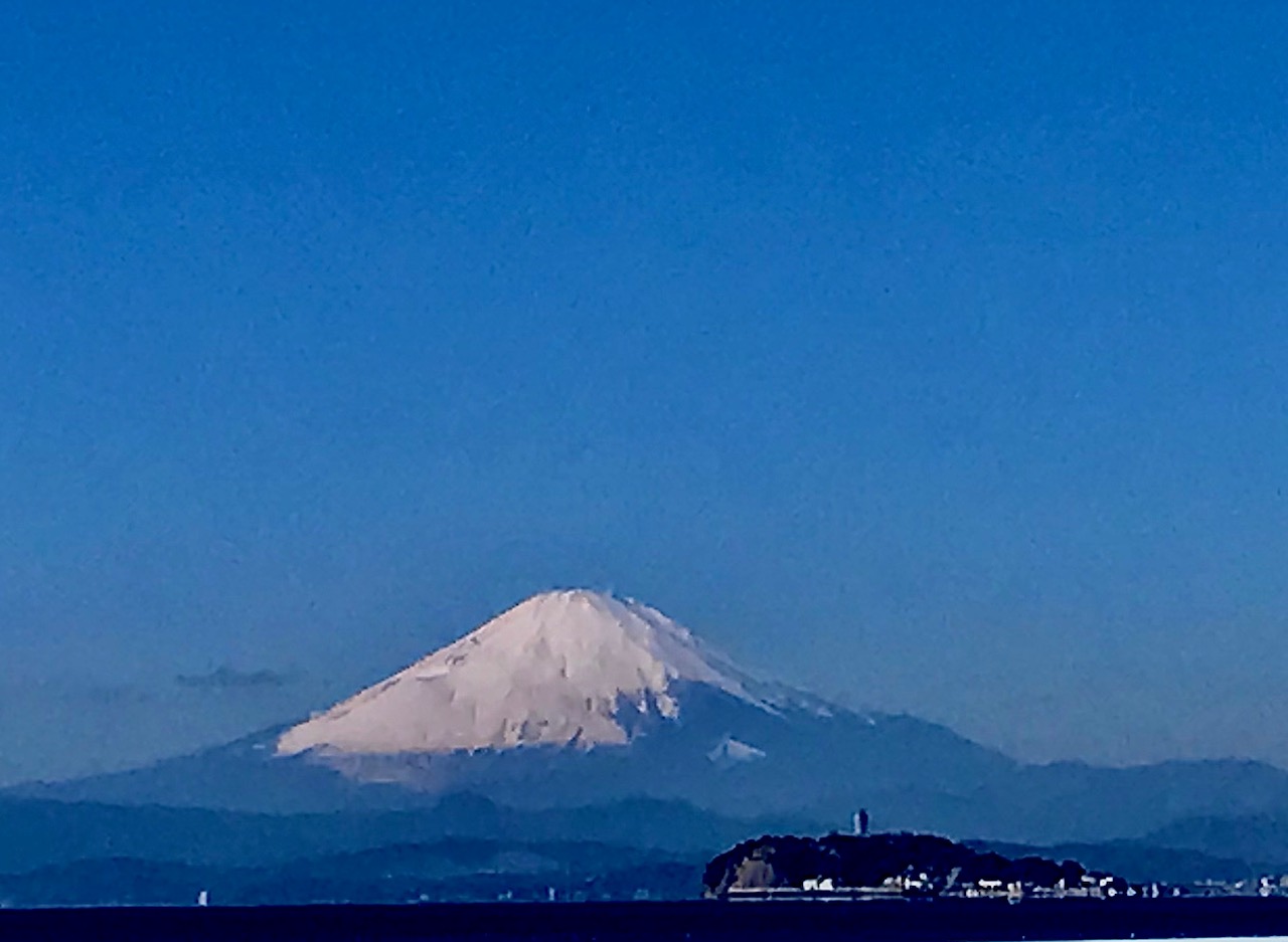 来週のお休みは変則となります。