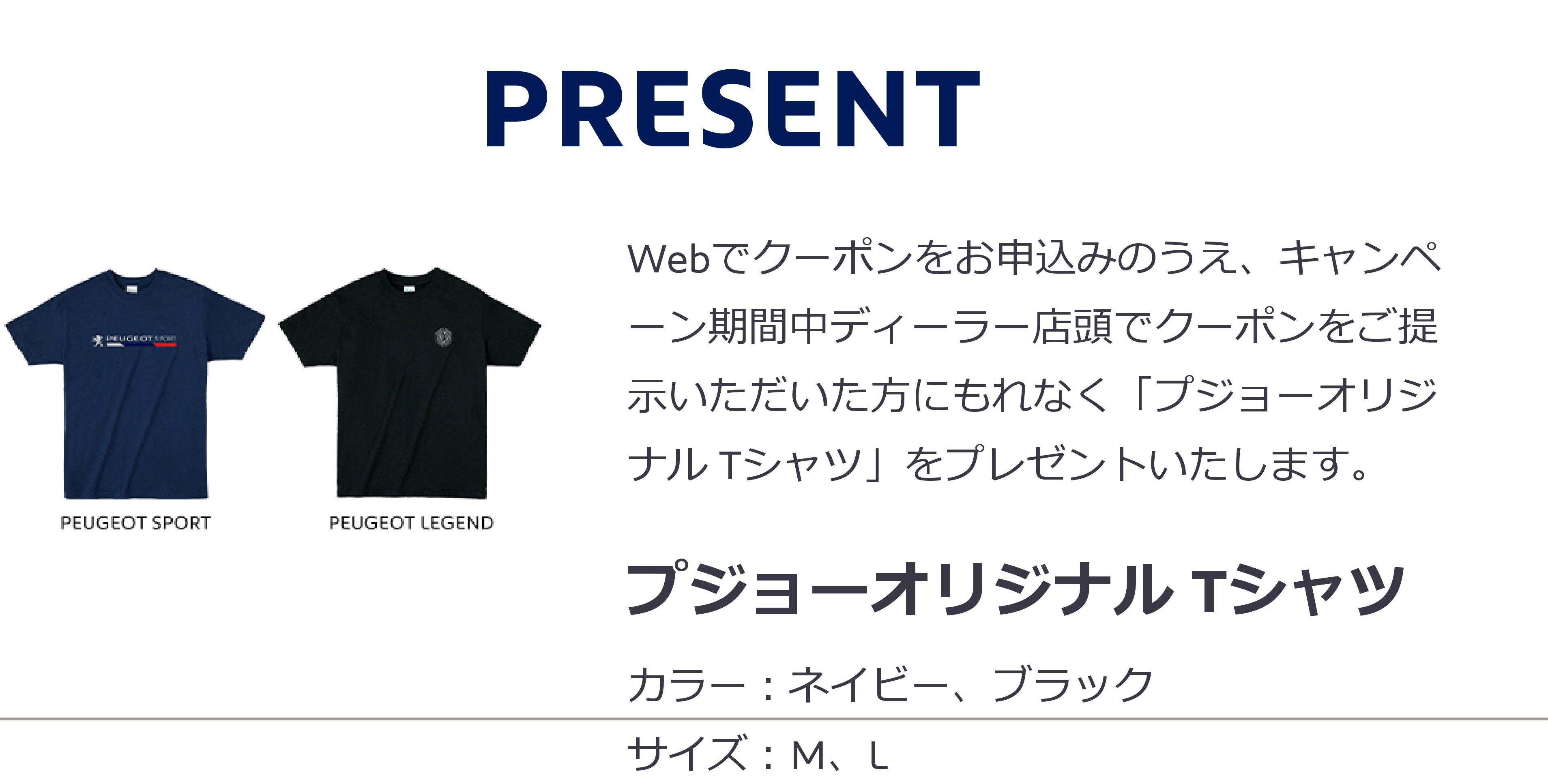 Ｔシャツは無くなっております。