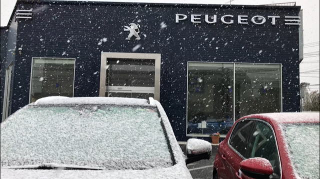 雪になっております。