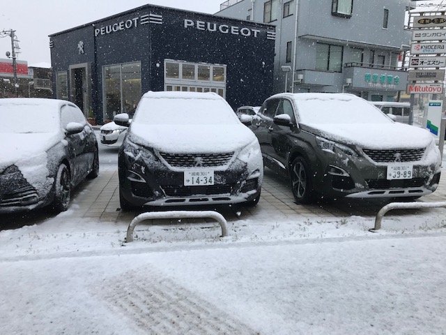 雪になっております。