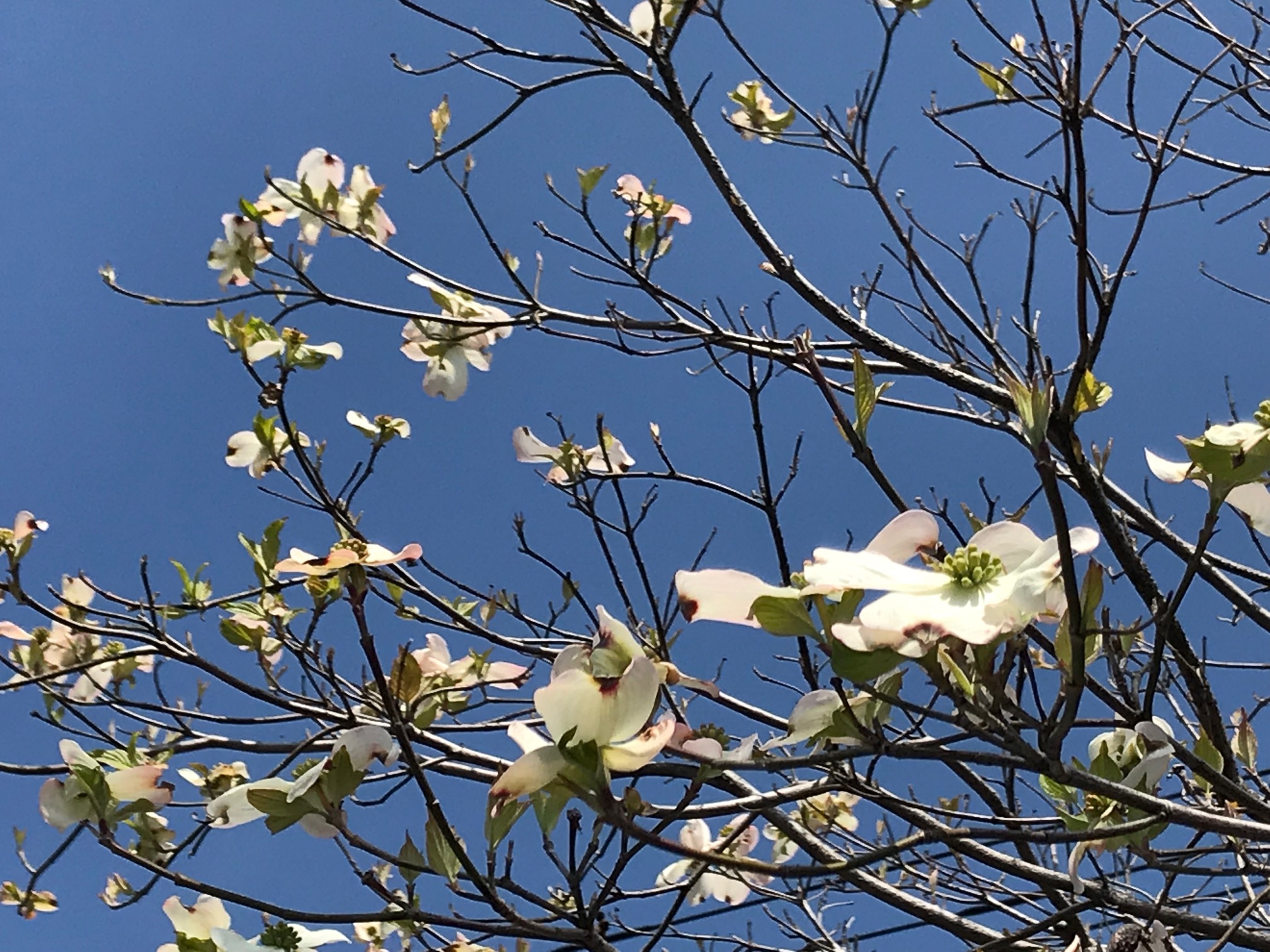 今月もよろしくお願い致します。