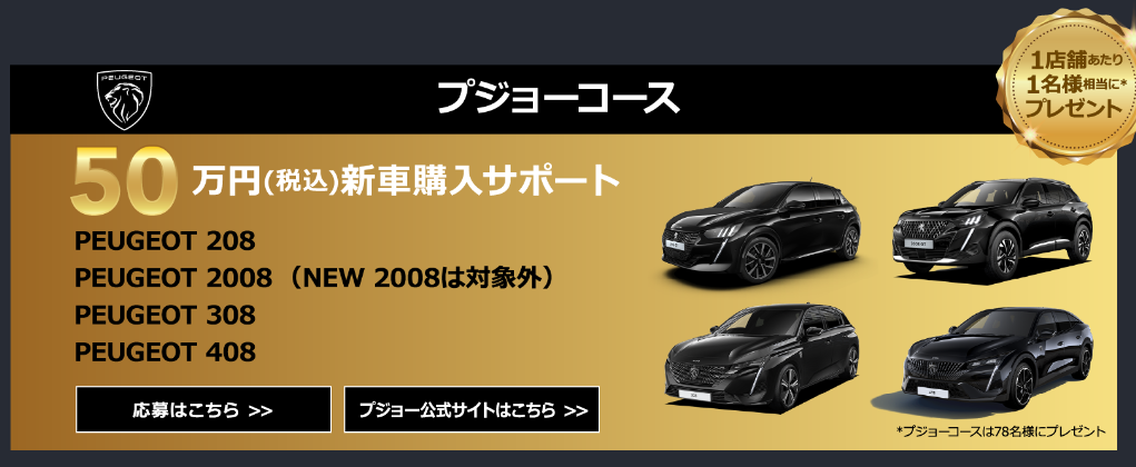 【Super Black Fridays】 期間限定特別サポート