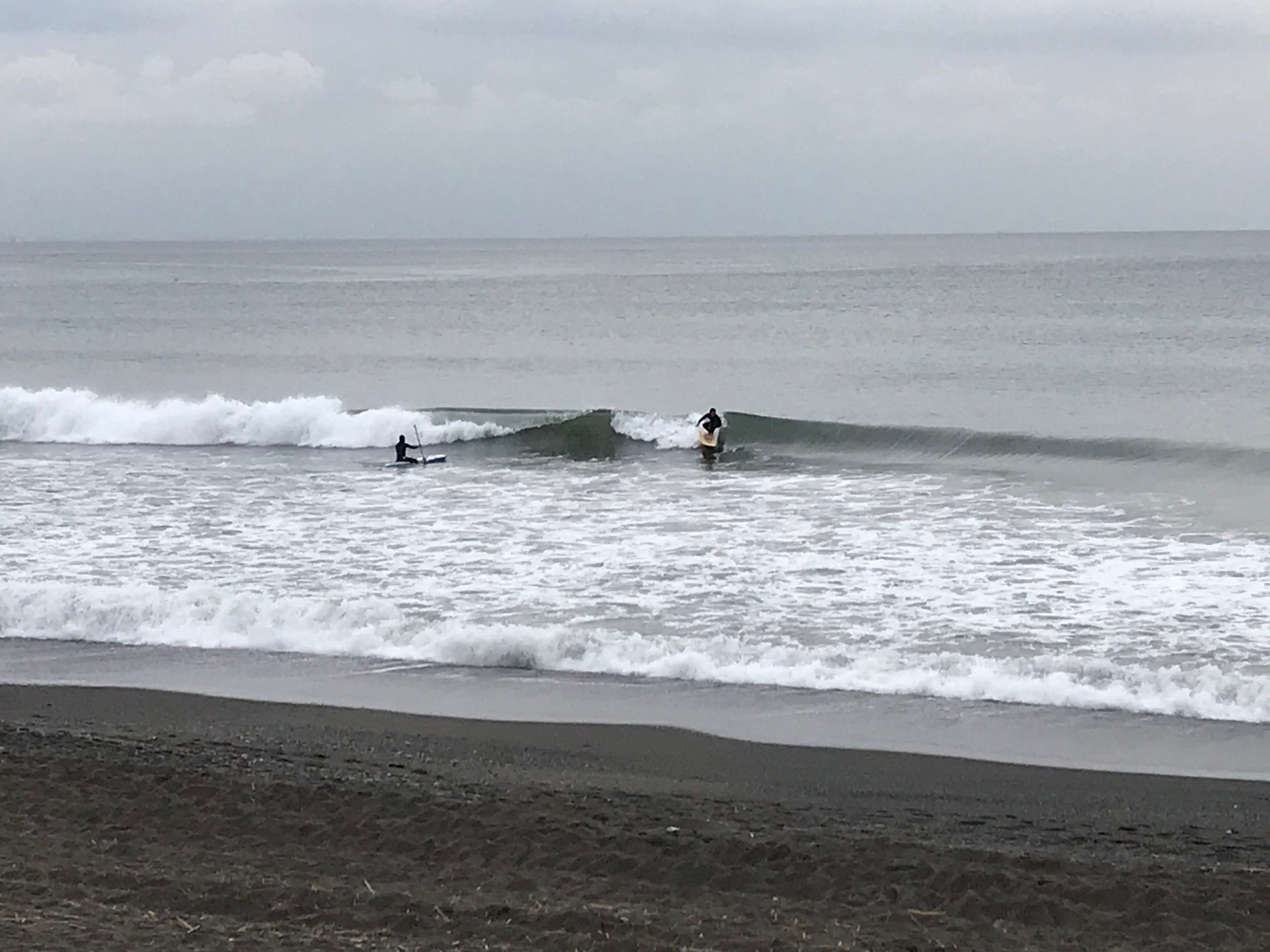 海活