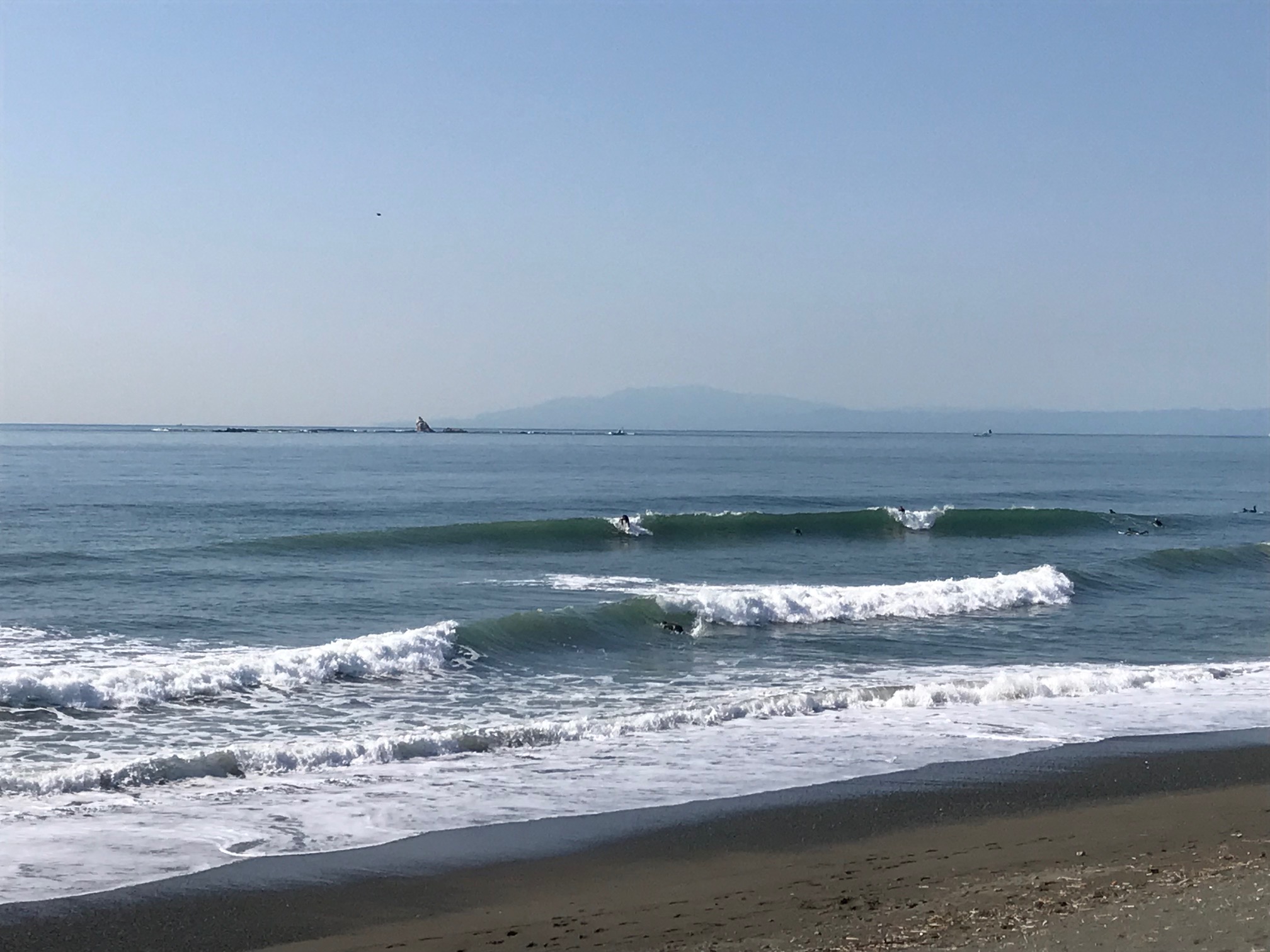 春を海で感じる