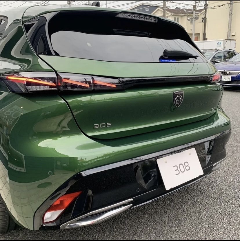NEW308